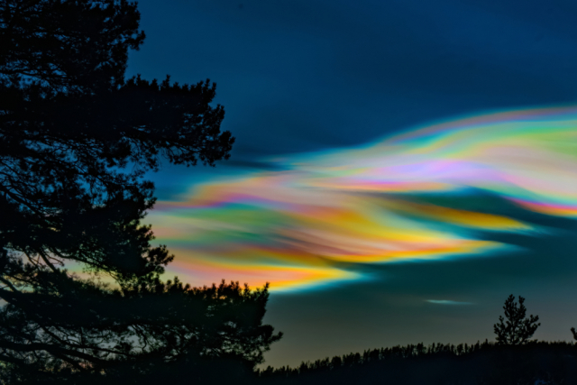 PSO over the Arctic in December