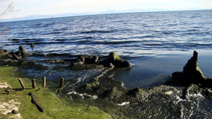 Shallowing of the Baikal