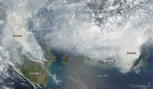 Fire in Indonesia