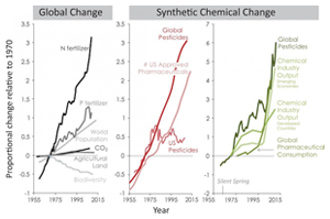 The growth of synthetic and chemical pollution on Earth