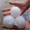 Abnormal hail in Argentina