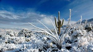 Winter in the center of Mexico