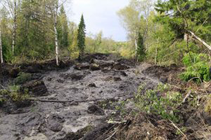 Earthquake and landslide in the Southern Urals