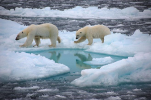 Climate change in the Arctic