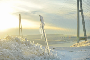 Freezing rain in the south of Primorye