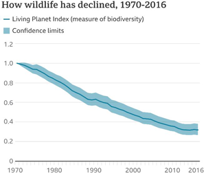 Extinction of animals in half a century