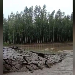 Heaving land in Haryana state