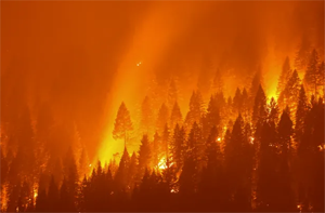 Fires in the western United States