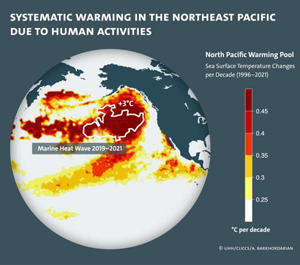 Pacific heated swimming pool