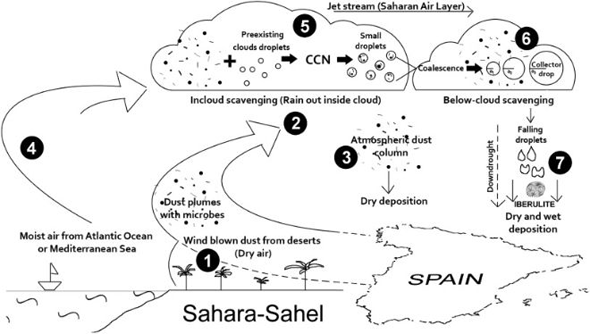 Путешествие бактерий по миру на пыли