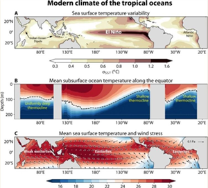 Мировое Ниньо